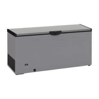 Καταψύκτης Silver 1600x660x850mm HC610TSIC+
