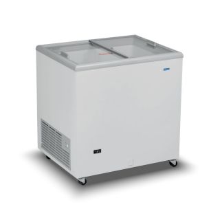 Καταψύκτης με ίσια συρόμενα κρύσταλλα 840x670x895mm ICE220